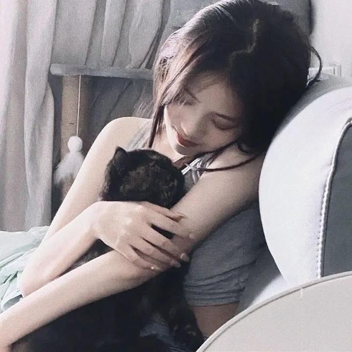 犬夜叉：红莲之蓬莱岛