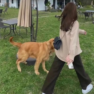 伤痕